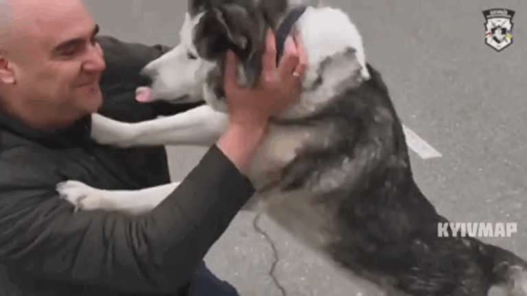 Tras masacre en Bucha: El emotivo reencuentro de un perro con su humano