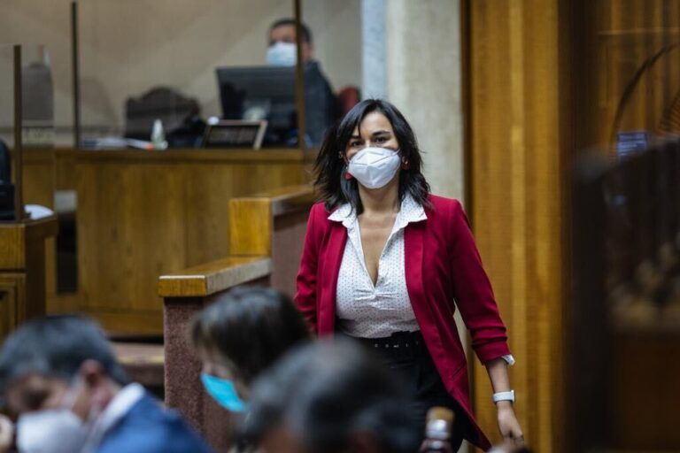 Macrozona sur: Gobierno creará una comisión para la verdad y el esclarecimiento histórico del conflicto intercultural