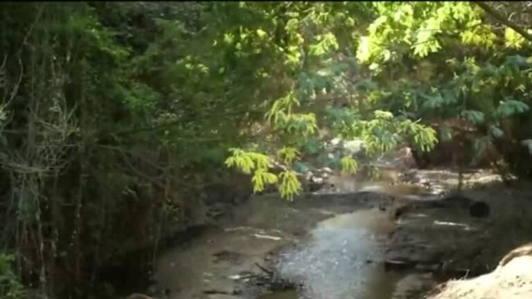 Futuro 360 en CNN Chile, capítulo 188: Las turberas y los servicios ecosistémicos que brinda al planeta Tierra