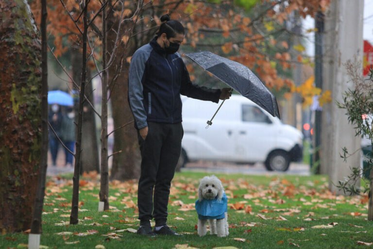 ¿Seguirán las heladas o llegarán las lluvias? El pronóstico del tiempo para la primera semana de junio
