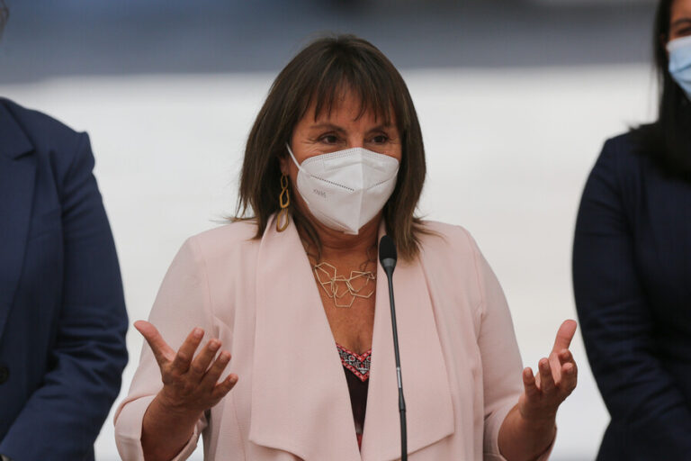 Ofician a Vega por aumento de recursos para la Conadi: Gobierno dice que son nuevas asignaciones y reasignaciones