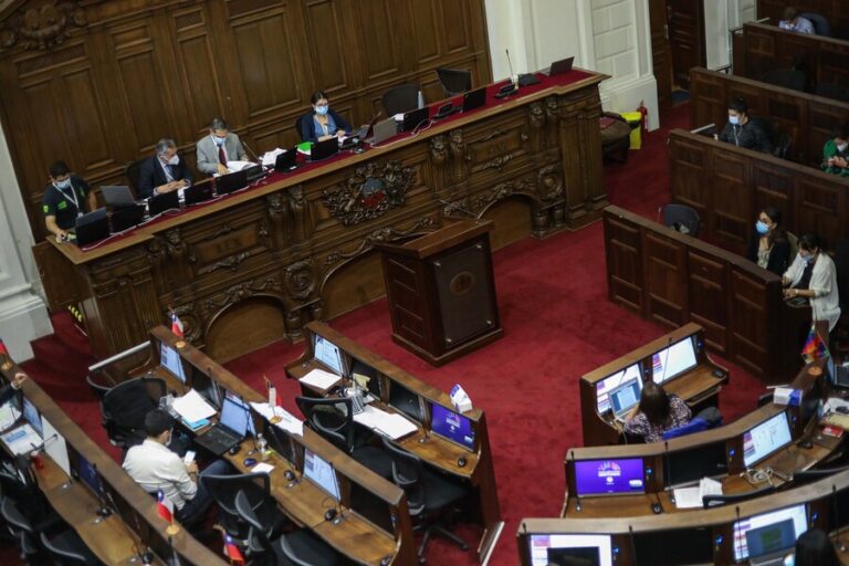 Principios constitucionales: ¿Qué votó este lunes el pleno de la Convención?