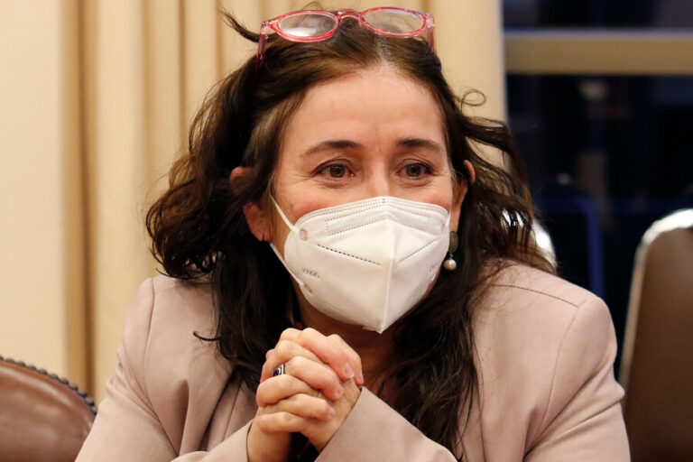 Diputado republicano pide que Contraloría investigue a ministra Yarza por dichos sobre la CC: Acusa intervencionismo