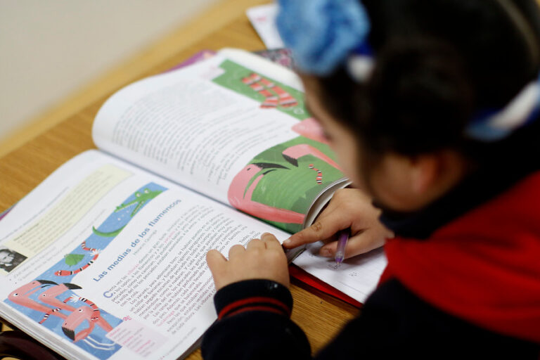 Estudio revela que la mitad de los niños de colegios vulnerables comenzó 2° básico sin saber leer
