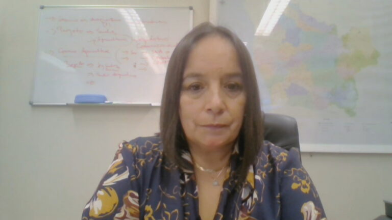 Senadora Aravena y gira de Felipe Kast por el Rechazo: 