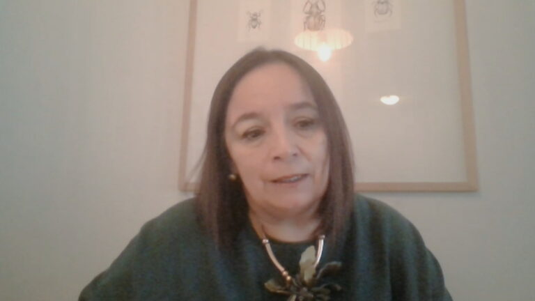 Senadora Aravena cuestiona a ministra Vega: 