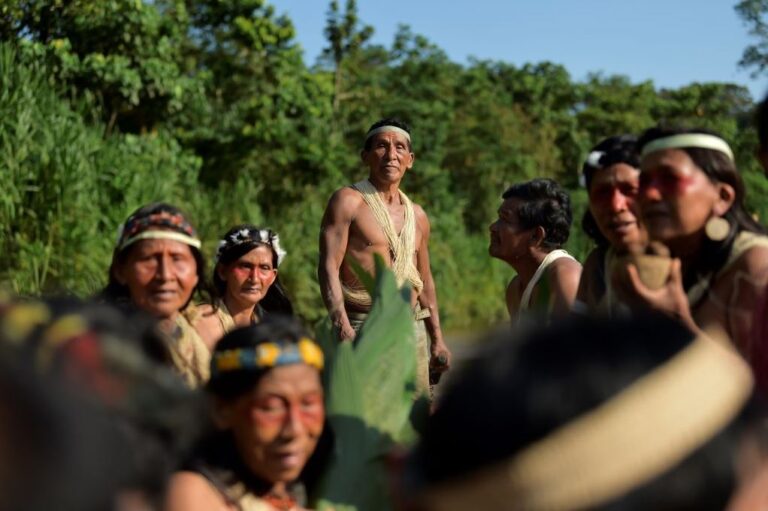 Ecuador anunció intención de crear el biocorredor más grande América Latina en la Amazonía del país