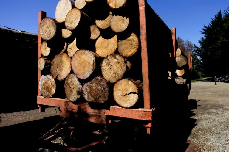 Decretan prisión preventiva a 39 sujetos de organización criminal que operaba en 5 regiones