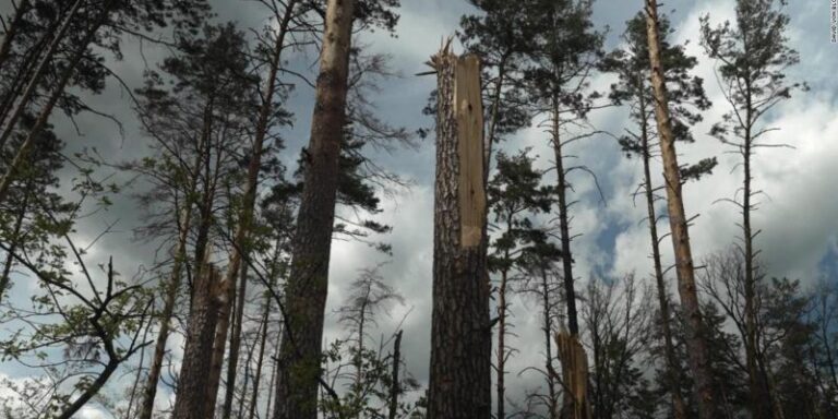 El entorno natural de Ucrania es otra víctima de la guerra