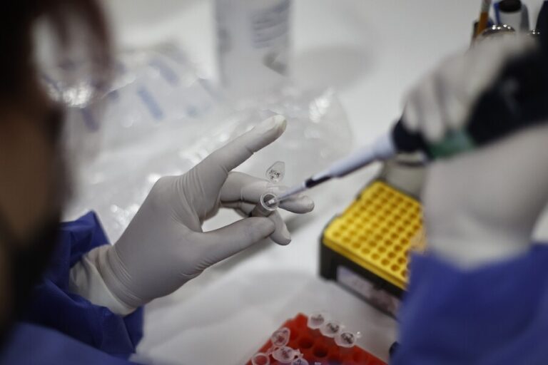 La OMS definió que la viruela del mono no es una emergencia sanitaria internacional