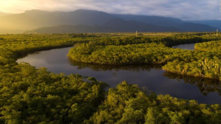 Continúa la búsqueda de periodista británico y experto indigenista brasileño en la Amazonia