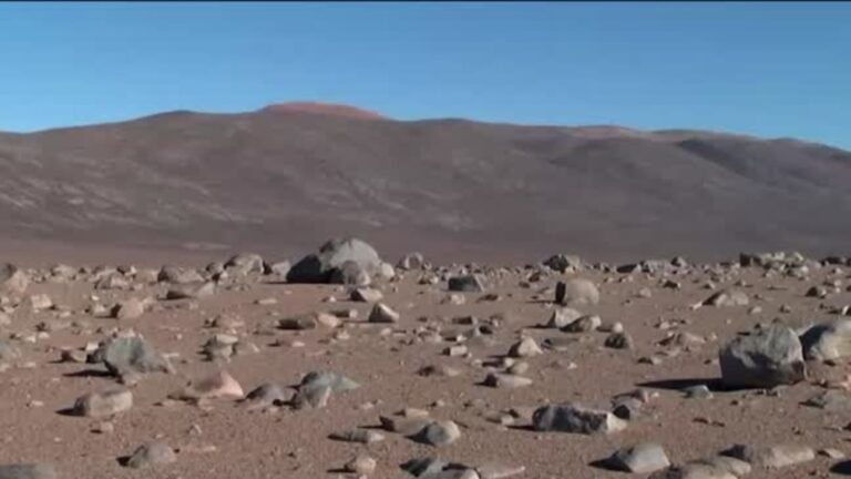 Futuro 360 en CNN Chile, capítulo 198: La importancia de la protección del patrimonio natural