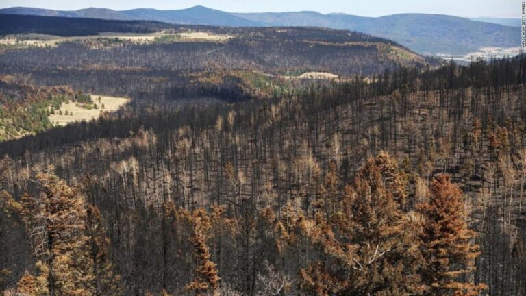 Sequía en el suroeste de EE.UU se intensificó mientras Yellowstone se inundó por la lluvia torrencial