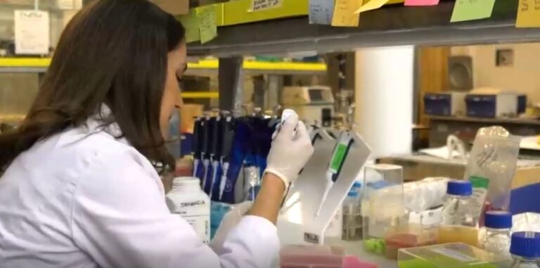 CNN Chile estrenará 