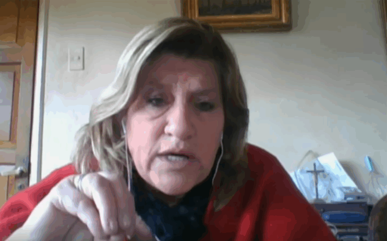 Diputada Naveillán: 