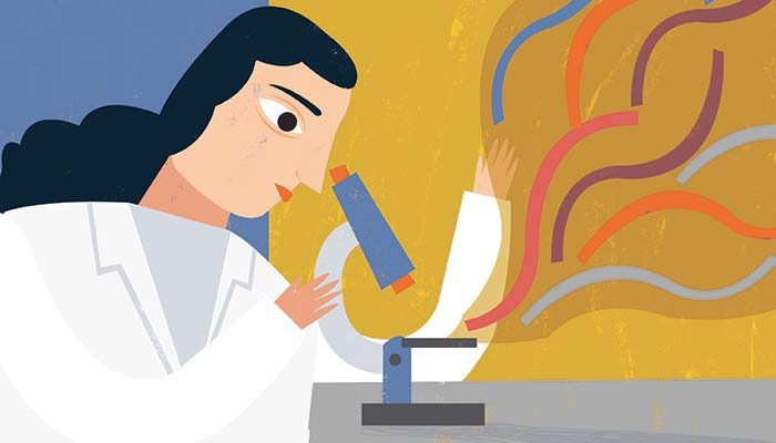 Ciencia al día: Potencial de desechos agroindustriales, gripe del tomate y estimulación cerebral para mejorar la memoria