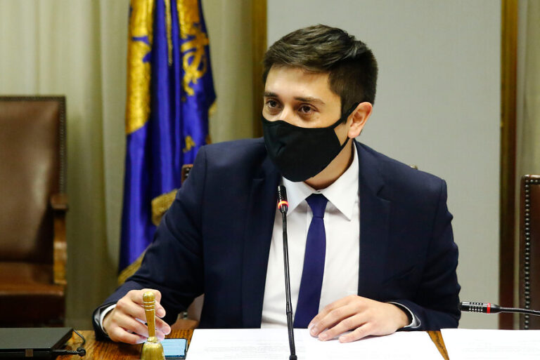 Diputado Calisto por Bono Invierno: 