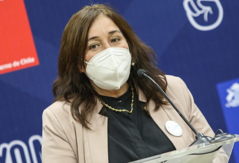 Ofician a ministra Yarza por contratación de condenado por incendio en la Seremi de Salud de La Araucanía