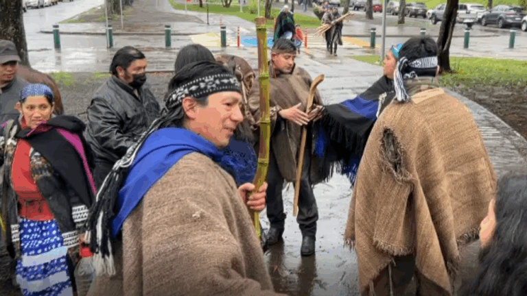 Machi Celestino llegó hasta la cárcel de Temuco para liderar el We Tripantu