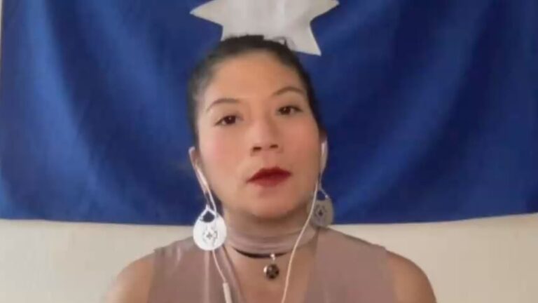 Diputada Ñanco ante carta de la CAM: 