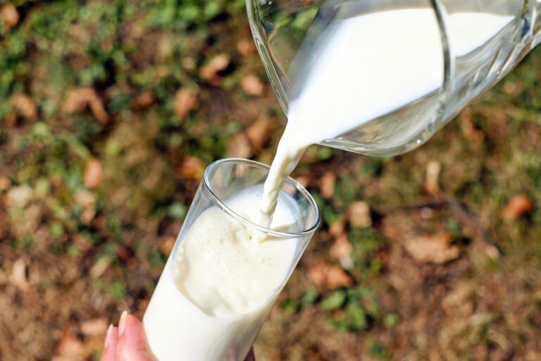 “Es una medida acertada”: Director del INTA valora fortificación de la leche y harina con vitamina D3