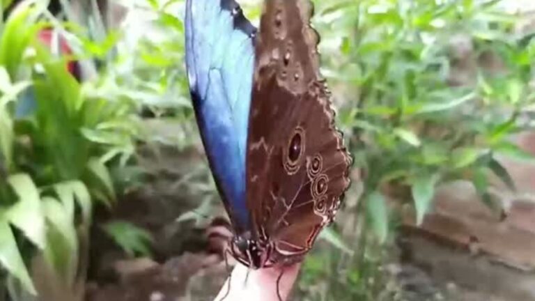 Futuro 360 en CNN Chile, capítulo 201: Los secretos de la Patagonia, en la búsqueda del arte rupestre del pueblo Yagán