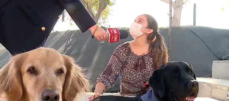 Apoyo emocional: Los beneficios de la terapia asistida por animales