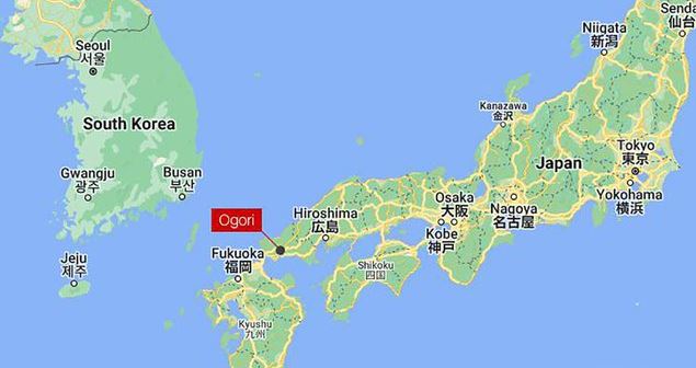 Ciudad japonesa busca a mono salvaje tras ola de ataques: Ya hay cerca de 20 heridos