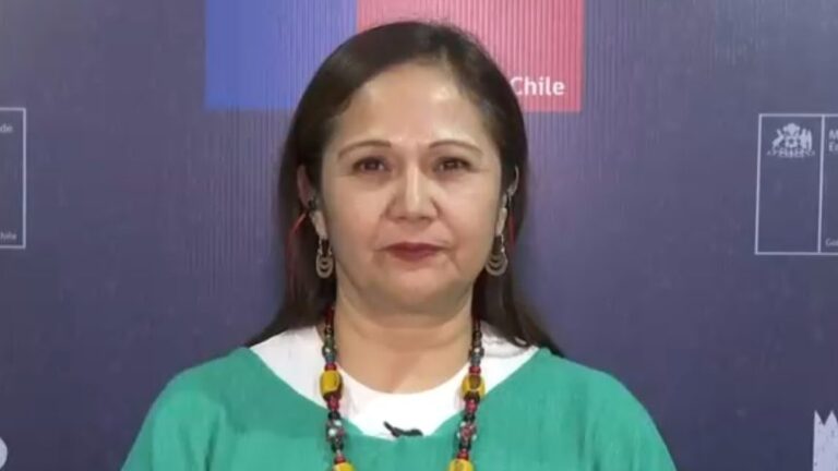 Subsecretaria de Educación Superior y la condonación de CAE: 