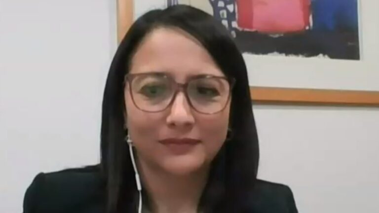 Directora del INE y los resultados de la Encuesta de Ingresos: 