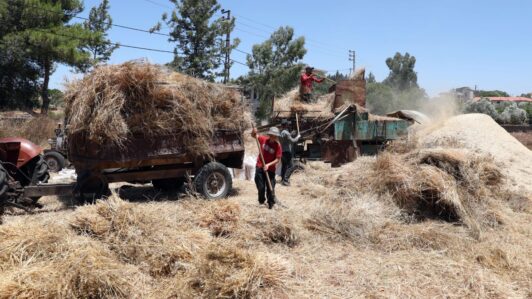 Agricultores ucranianos expresan su preocupación por la implementación del acuerdo de exportación de granos
