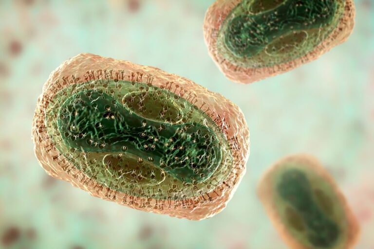 Brasil y España confirmaron sus primeros fallecidos por viruela del mono