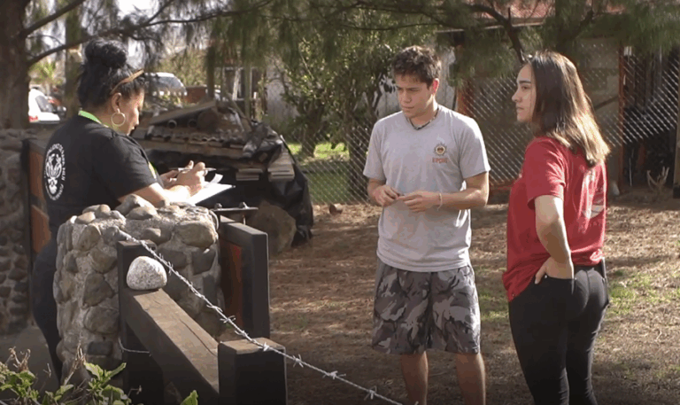 Hoko Hia Tatou: Rapa Nui levanta su propio censo de cara a la reapertura del turismo en la isla