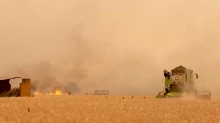 Casi 60 mil hectáreas han sido arrasadas por los incendios forestales en España