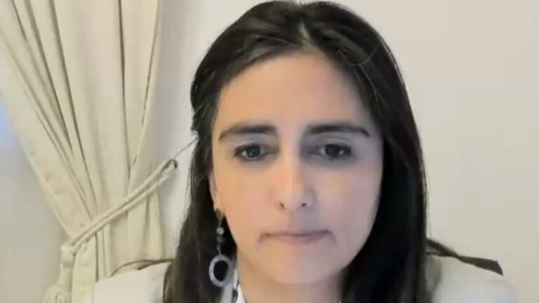 Subsecretaria de Hacienda y la reforma tributaria: 