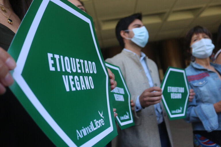 Proponen llevar una alimentación vegana para aplacar los costos de la inflación