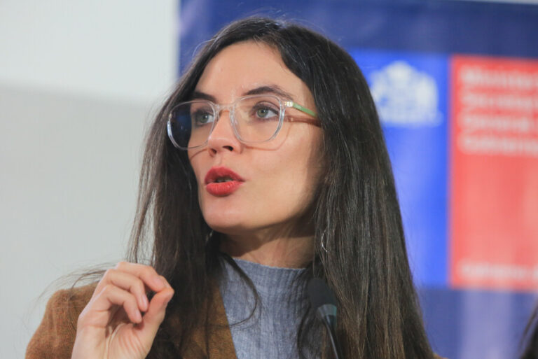 Ministra Vallejo tras dichos de diputada Orsini sobre Bomberos: 