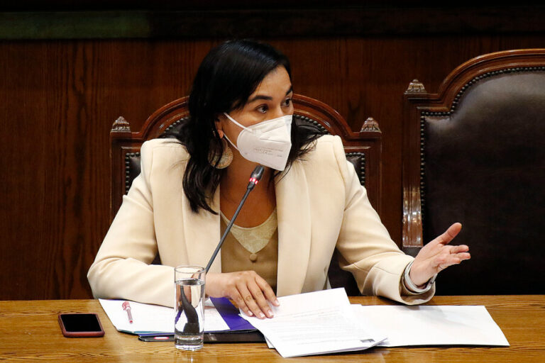 Siches y querella por dichos de Llaitul: “El Ministerio Público estaba dubitativo entre actuar y no actuar”
