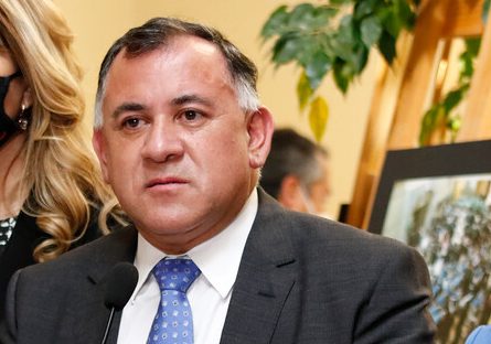 Diputado Aedo: 