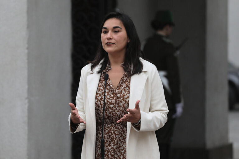 Detención de Llaitul: Siches pide transversalmente “no sacar réditos políticos y dejar que las instituciones funcionen”