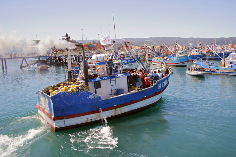Gobierno otorgará suma urgencia a proyecto que busca anular la Ley de Pesca