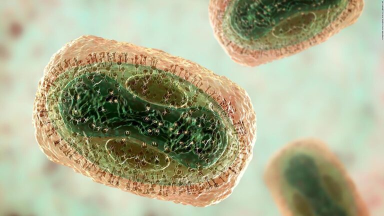 Viruela del mono: Amplían vacunación para quienes vivan con VIH o hayan tenido una ITS en el último año