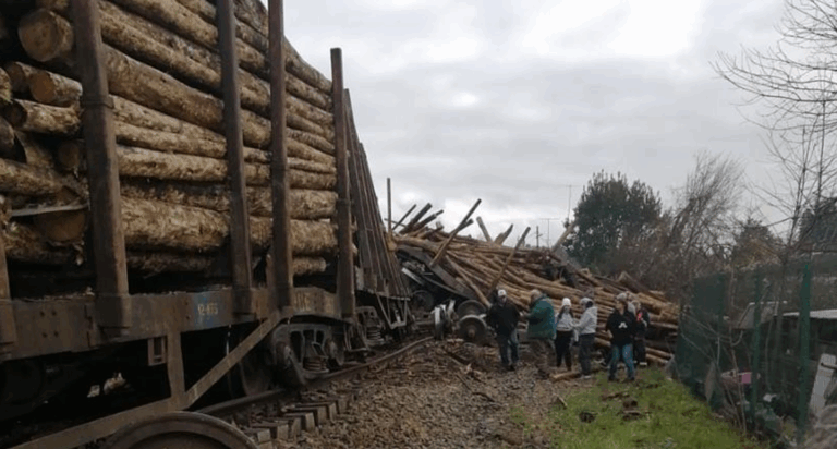 Tren con madera se descarrila en la comuna de Gorbea y detiene el tránsito ferroviario