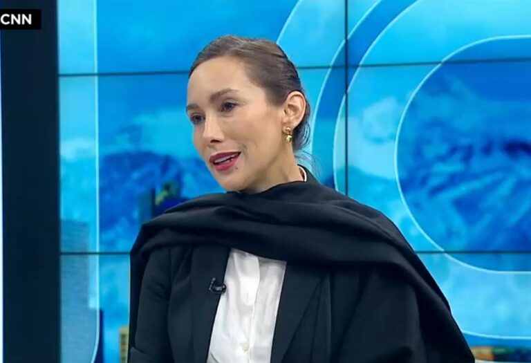 Torrealba y plebiscito: “Llaitul y su gente influyen y serán responsables si es que esta oportunidad histórica se va”