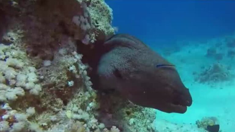 Futuro 360 en CNN Chile, capítulo 204: La importancia del patrimonio cultural y natural de nuestro país