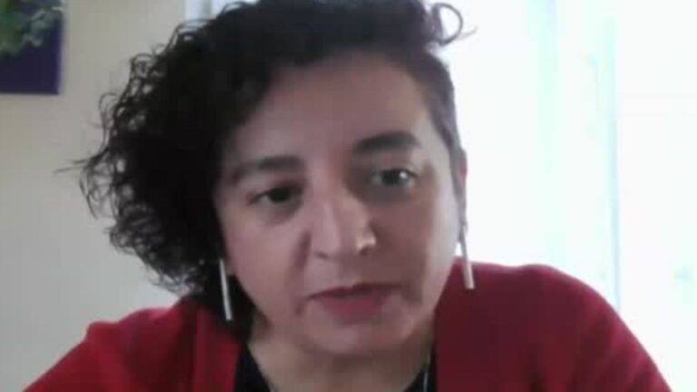 Natacha Pino, rectora U. de Aysén: 