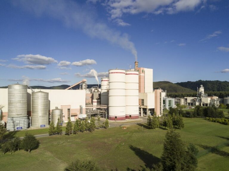 Más de $640 millones: Empresa Arauco pagaría por primera vez la patente en la ciudad y no en Las Condes