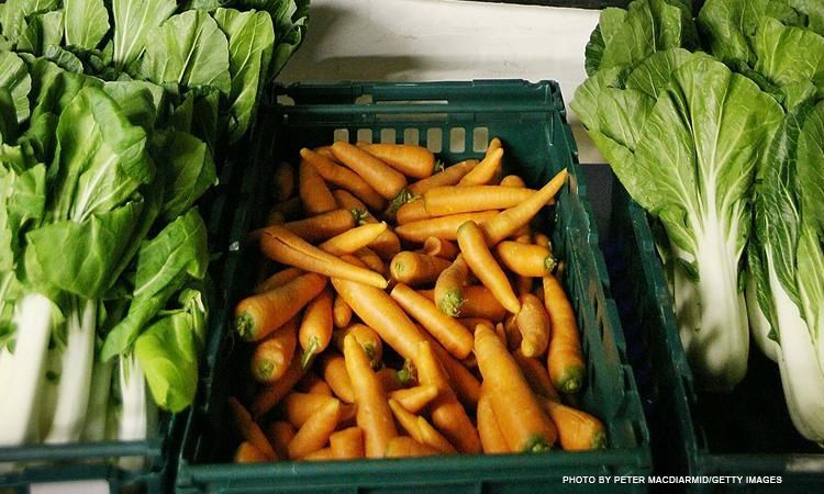 Comisión Seguridad y Soberanía Alimentaria entregó plan para enfrentar la crisis de alimentos