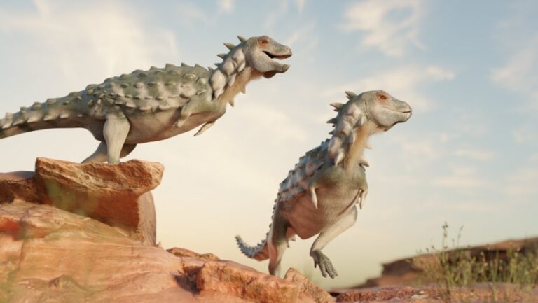 Descrubren en territorio mapuche-puelche al primer dinosaurio acorazado bídepo de Sudamérica