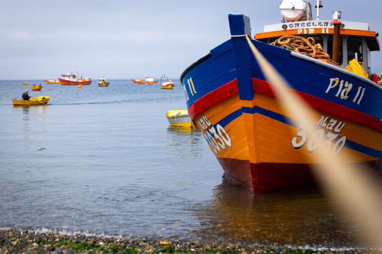 Comisión del Senado aprobó proyecto que declara la nulidad de la Ley de Pesca